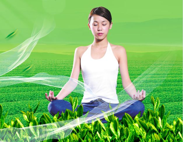 朗格多克-鲁西永大学商科文凭证书